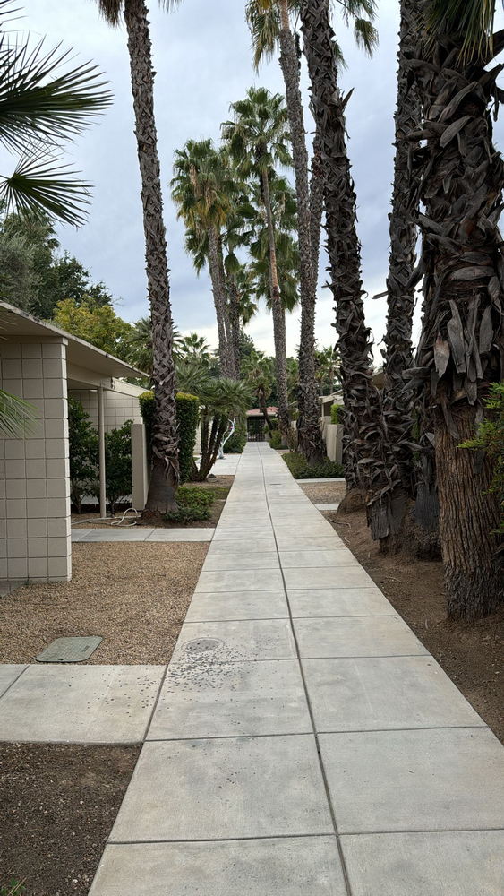 a walkway with palm trees and buildings